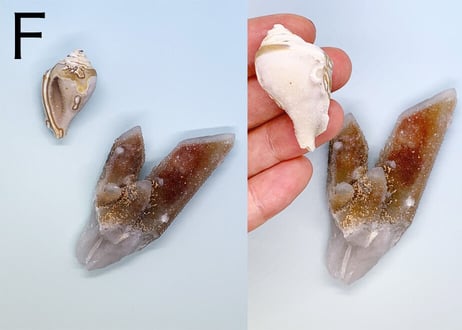 【くつろぐオーラに煌めく渦巻き】クリスタル2個セット（渦巻き結晶化した貝＆ドゥルージークォーツ）