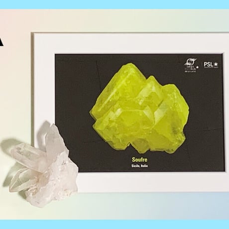 【クリスタルハーモニー】ヒマラヤ水晶クラスター（パリ鉱物博物館のおみやげ付き）