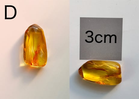 【大地と太陽の恵みは万能薬】ヒーリング用に活性化したアンバー1個