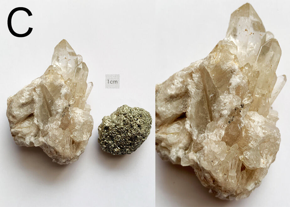 64c65a293097d70077480599