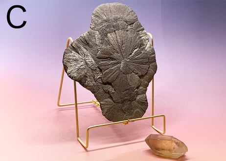 【招富太陽鉄盤と黄金の従者】クリスタルセット（パイライトサン・コンゴ産シトリン）