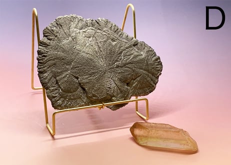 【招富太陽鉄盤と黄金の従者】クリスタルセット（パイライトサン・コンゴ産シトリン）