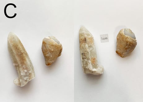 【くつろぐオーラに煌めく渦巻き】クリスタル2個セット（渦巻き結晶化した貝＆ドゥルージークォーツ）
