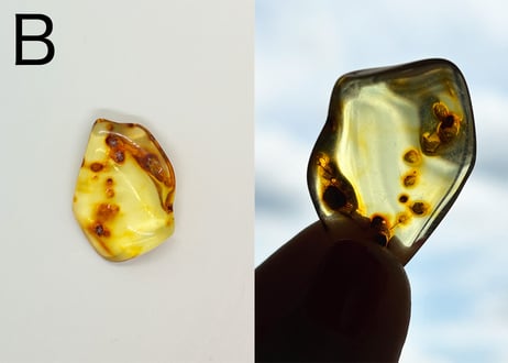 【大地と太陽の恵みは万能薬】ヒーリング用に活性化したアンバー1個