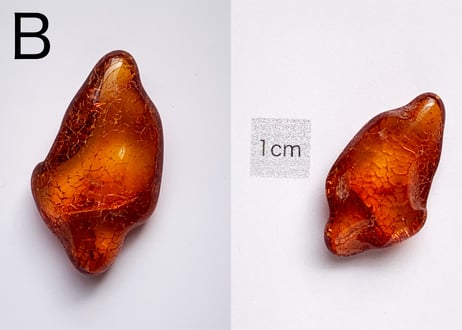 【大地と太陽の恵みは万能薬】ヒーリング用に活性化したアンバー1個