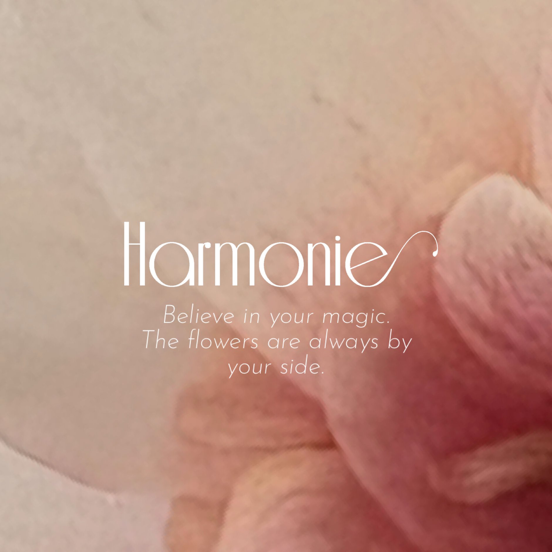 harmonie of flowers