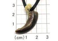イーグルの爪 No.8530 4.1cm 現品 | Beads NAPI