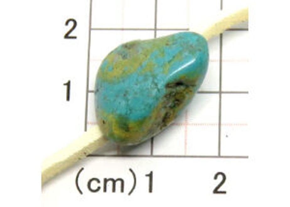 636dccc34292bf682e719987