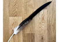 イーグルの羽　No.1356　　現品　47cm