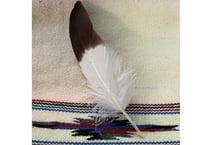 イーグルの爪 No.8530 4.1cm 現品 | Beads NAPI