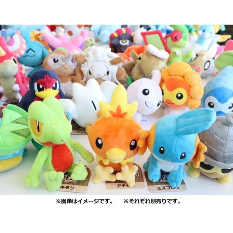 252 ぬいぐるみ Pokémon fit キモリ | TOKINO Store