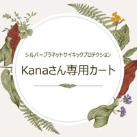 kanaさん専用カート