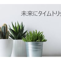 未来へタイムトリップAコース8000円