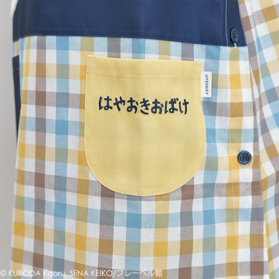 6901a9749a0285ea402228cc