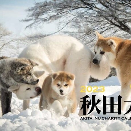 2023年秋田犬カレンダー