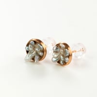 パールピアス⑥