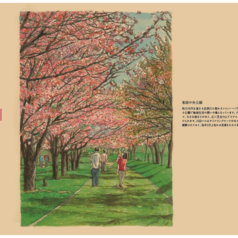 ランチョンマット10枚セット 東部中央公園 | あさなみ