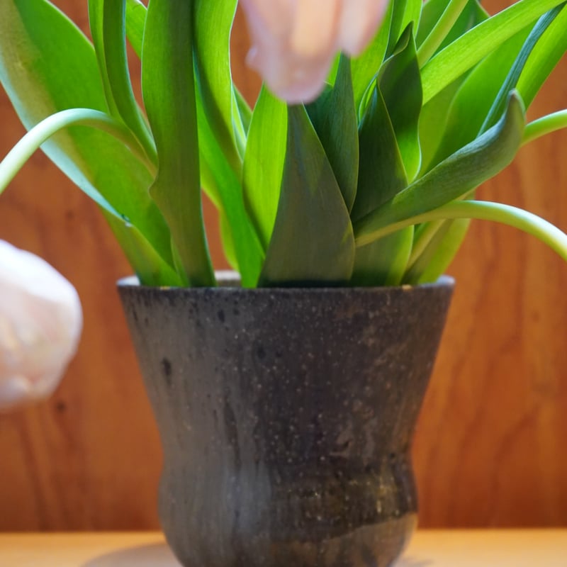 長野大輔 38 木灰釉花器 | Alocasia ONLINE STORE