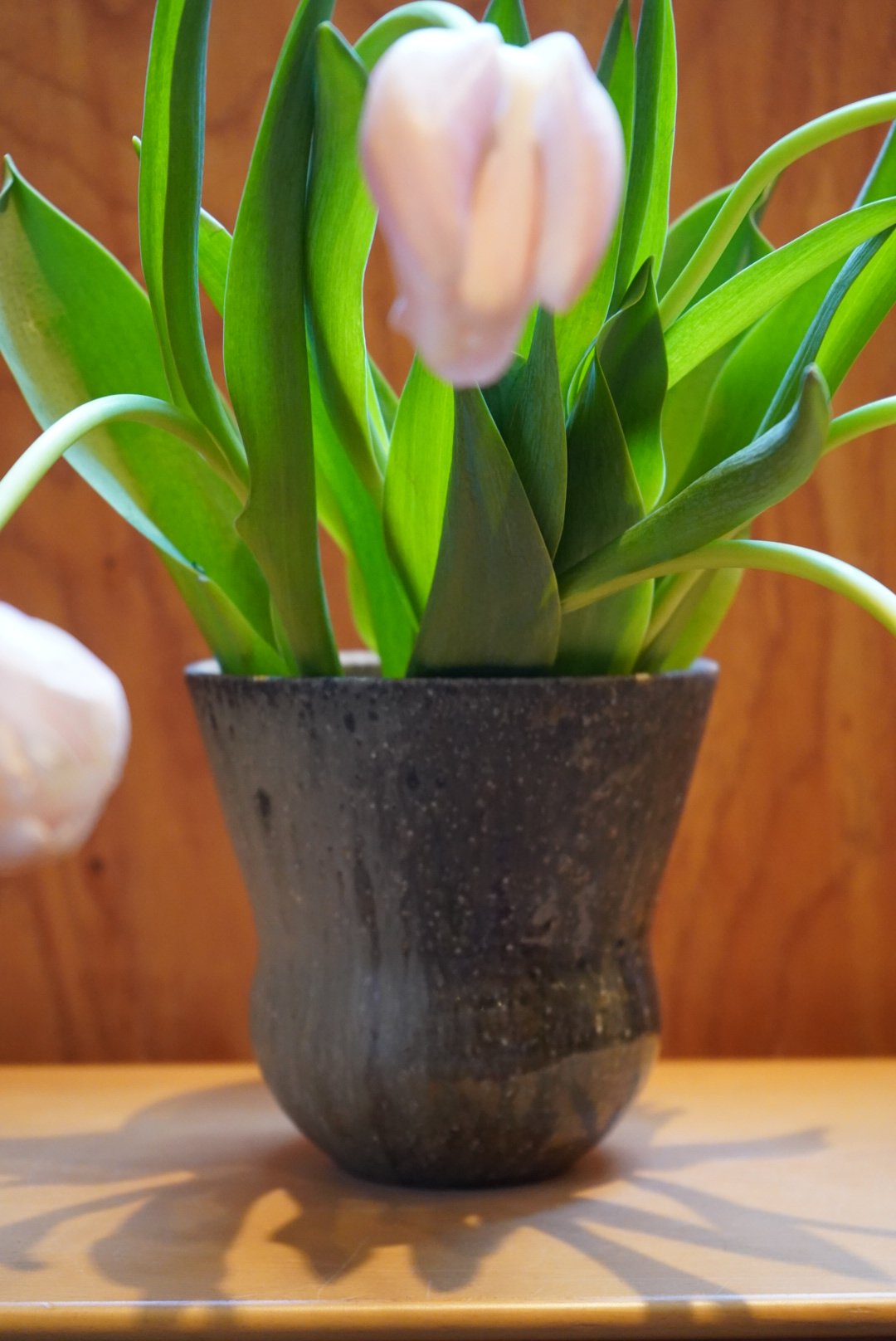 長野大輔 38 木灰釉花器 | Alocasia ONLINE STORE