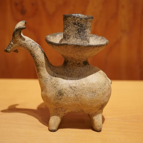 Alocasia ONLINE STORE