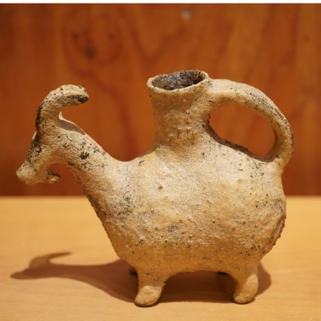 Alocasia ONLINE STORE