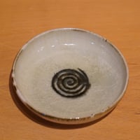 光藤佐 13 | Alocasia ONLINE STORE