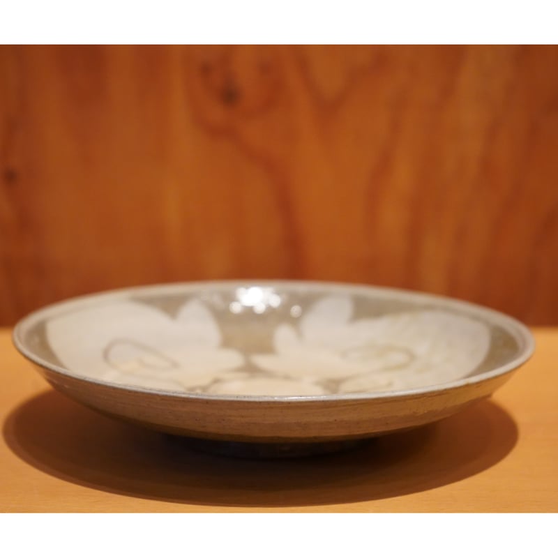 光藤佐 11 | Alocasia ONLINE STORE