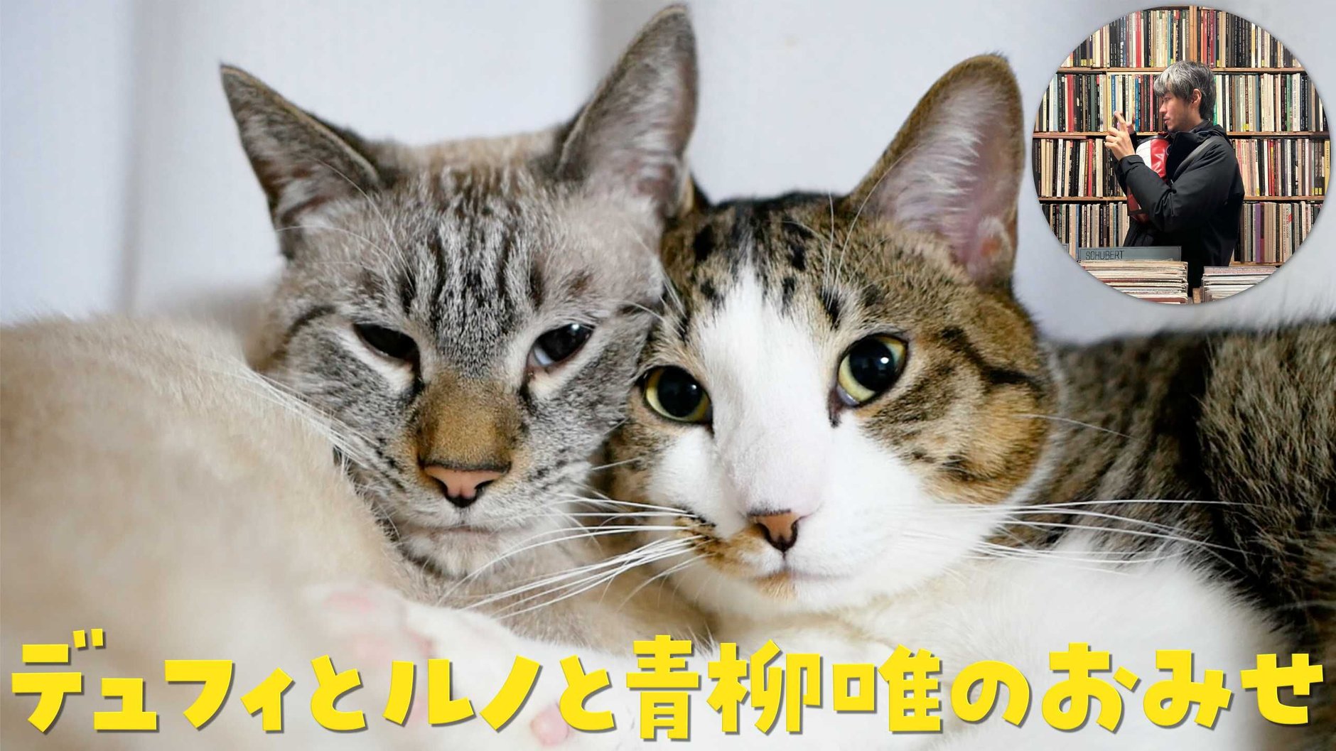 デュフィとルノと青柳唯のおみせ