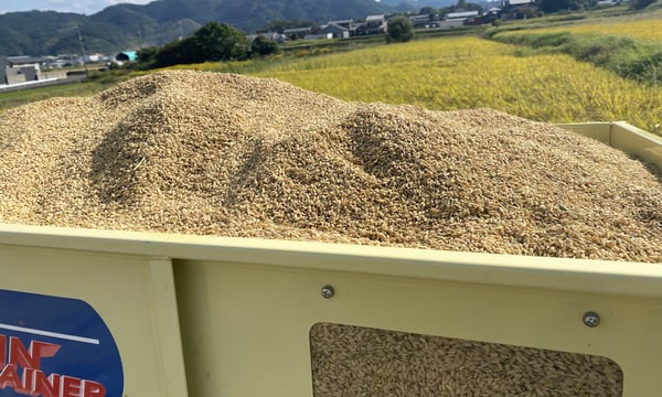 ☆終了しました☆奈良県産新米　令和7年秋収穫　30kg　玄米　有機栽培　キレイな水　美味しい吐田米 吐田郷 RiceGrowers