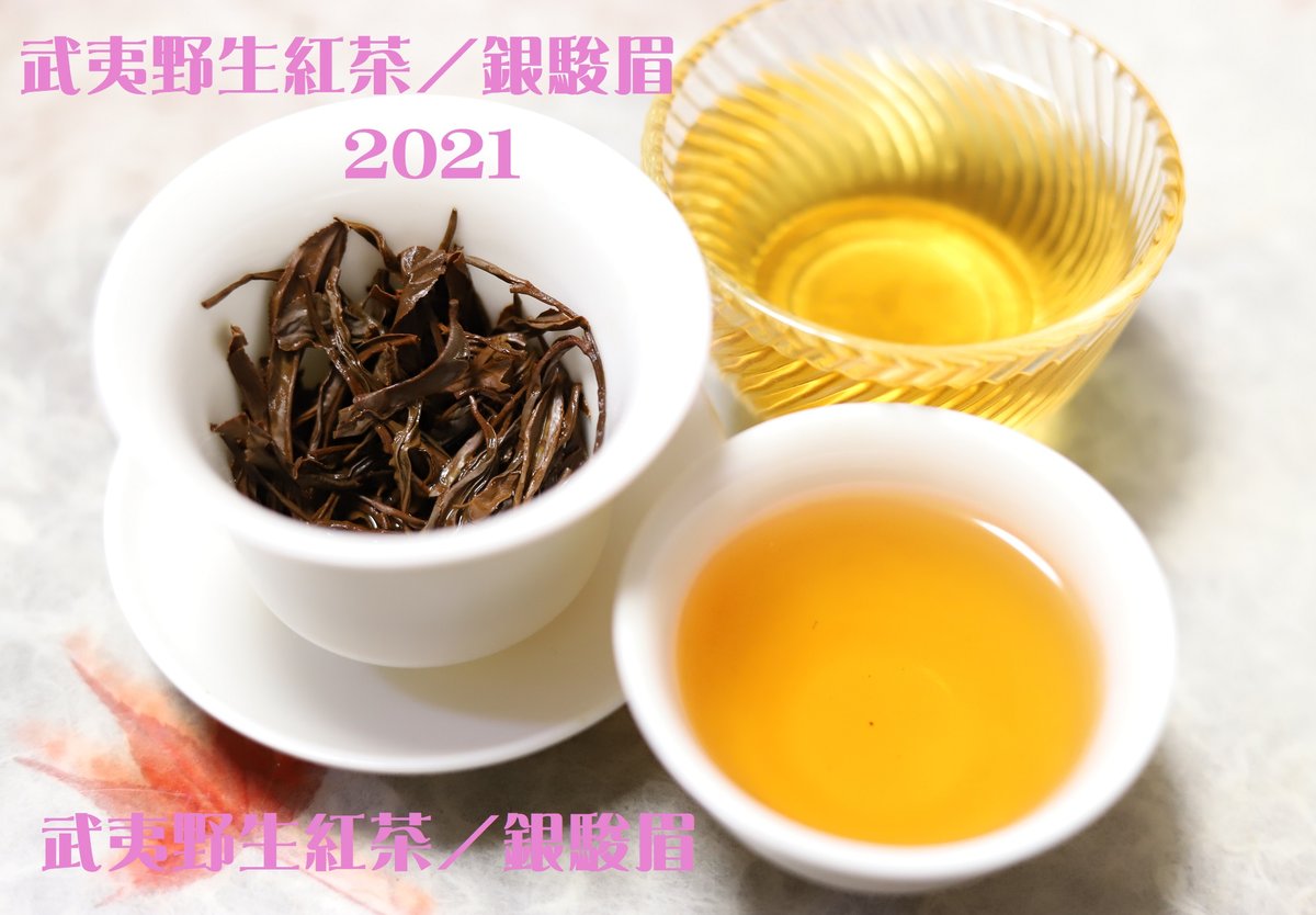 武夷野生紅茶/銀駿眉 | 武夷岩茶 茶の穂