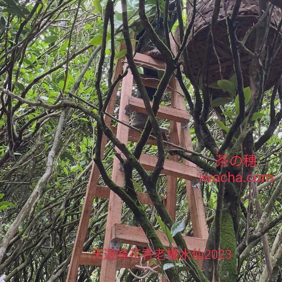 6480569cdb80ba00317b3073