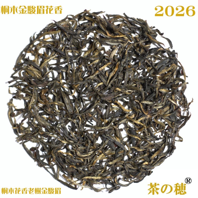 桐木花香老樹金駿眉 | 武夷岩茶 茶の穂