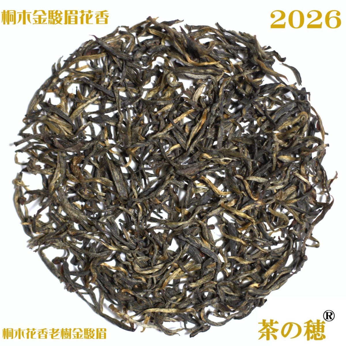 桐木花香老樹金駿眉 2026 | 武夷岩茶 茶の穂