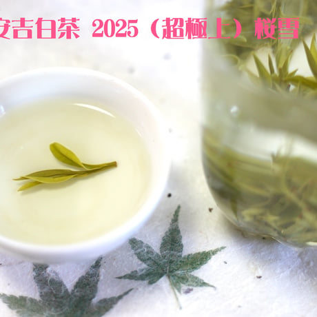 明前安吉白茶 2025 桜雪　浙江安吉産の緑茶