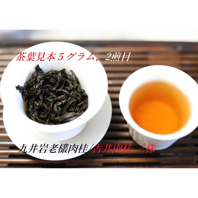 九井岩老欉肉桂 三株 2023 | 武夷岩茶 茶の穂