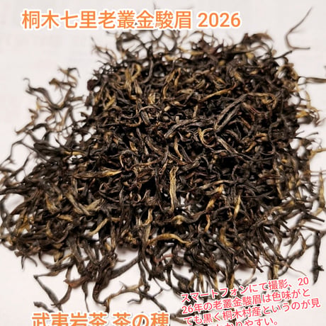 桐木紅茶 金駿眉（七里老欉金駿眉）2026