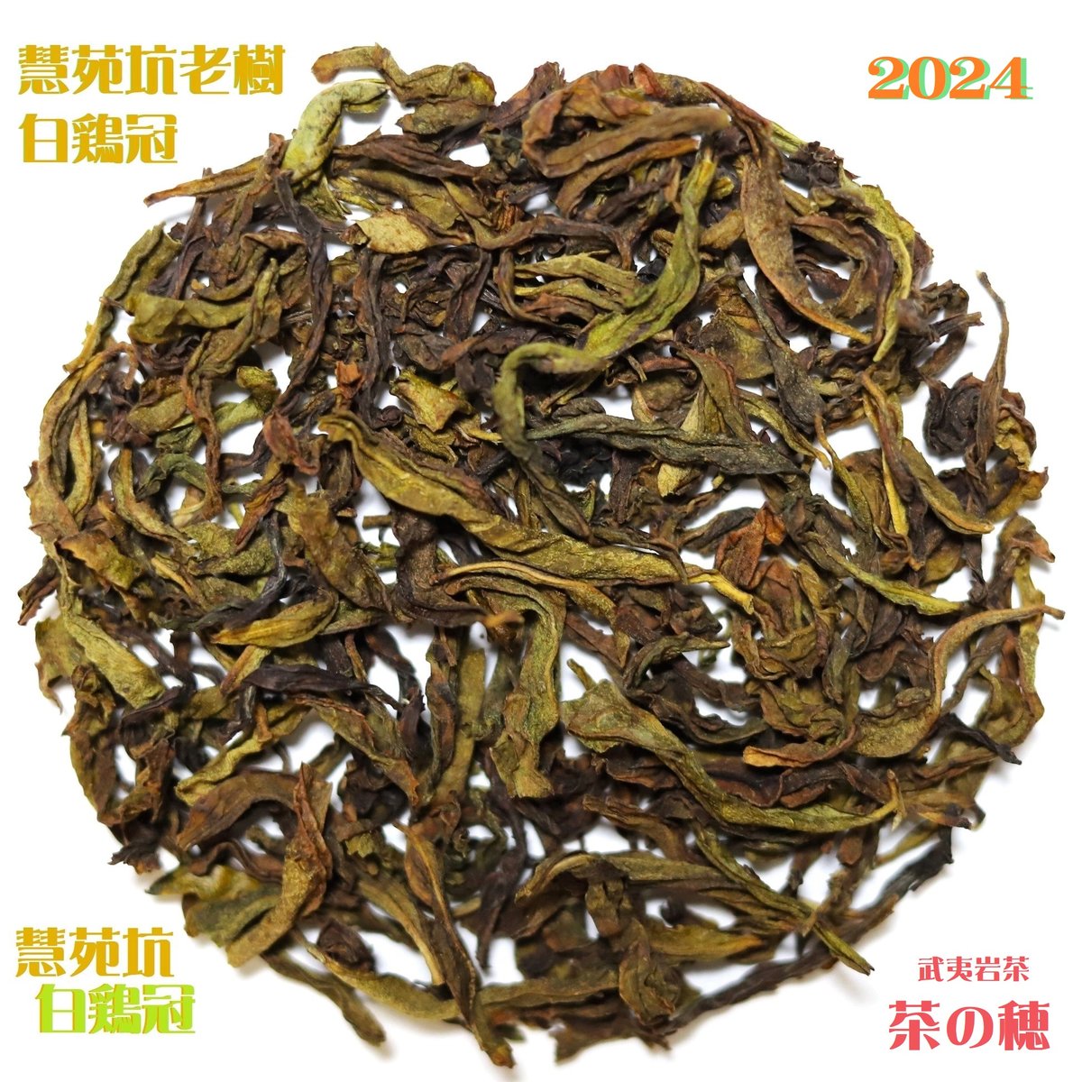 慧苑坑老樹白鶏冠 2025 | 武夷岩茶 茶の穂