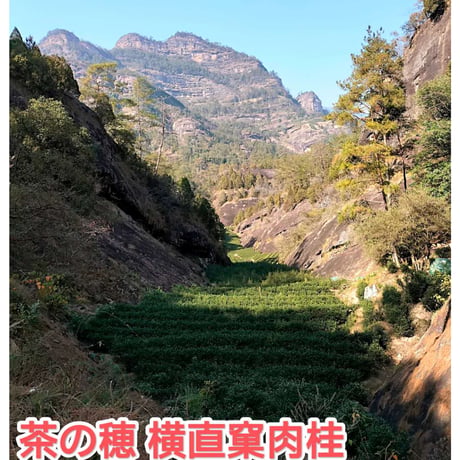 横直窠肉桂 2025 花香型 特別予約割引販売