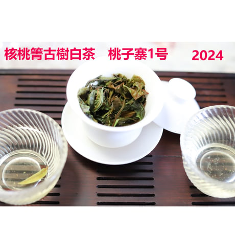 核桃箐古樹白茶 2024　単一茶園限定