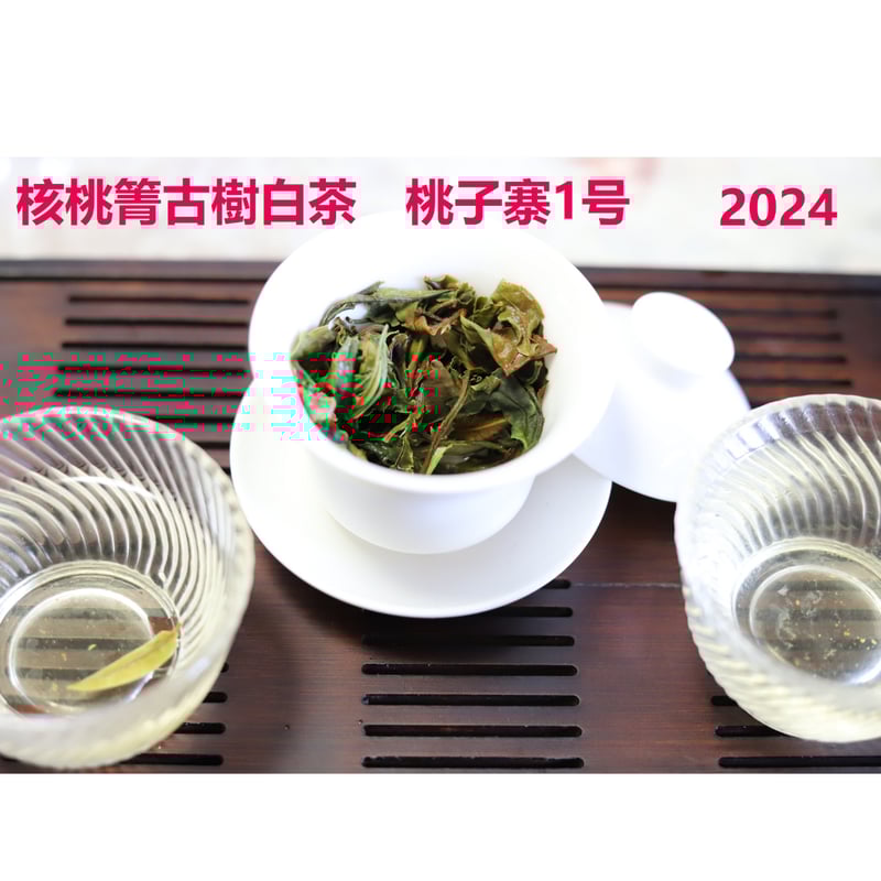 核桃箐古樹白茶 2024 単一茶園限定 | 武夷岩茶 茶の穂