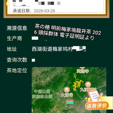 明前梅家塢龍井茶 2026 頭採群体