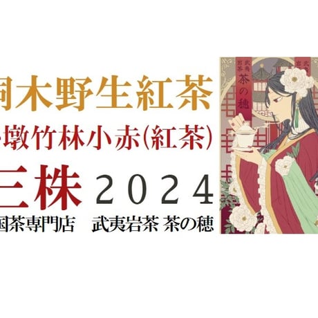 CATEGORY 正山小種紅茶/武夷山紅茶/桐木紅茶/金駿眉など | 武夷