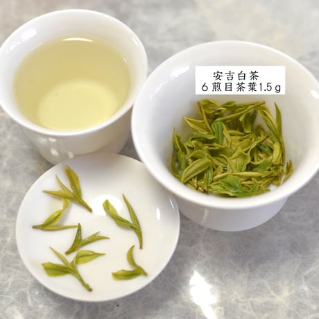 明前安吉白茶 2025 桜雪　浙江安吉産の緑茶