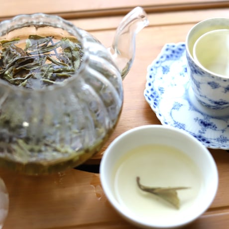 大山古樹白茶 散茶 2023