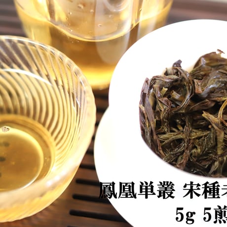 鳳凰単叢 宋種老欉 2025