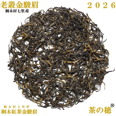 桐木紅茶 金駿眉（七里老欉金駿眉）2026