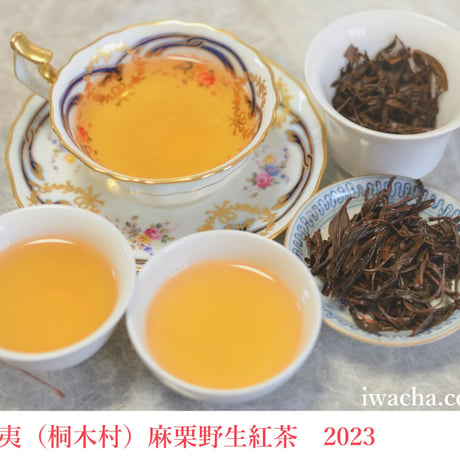 武夷野生紅茶/銀駿眉
