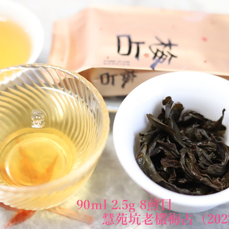 慧苑坑老欉梅占 2023