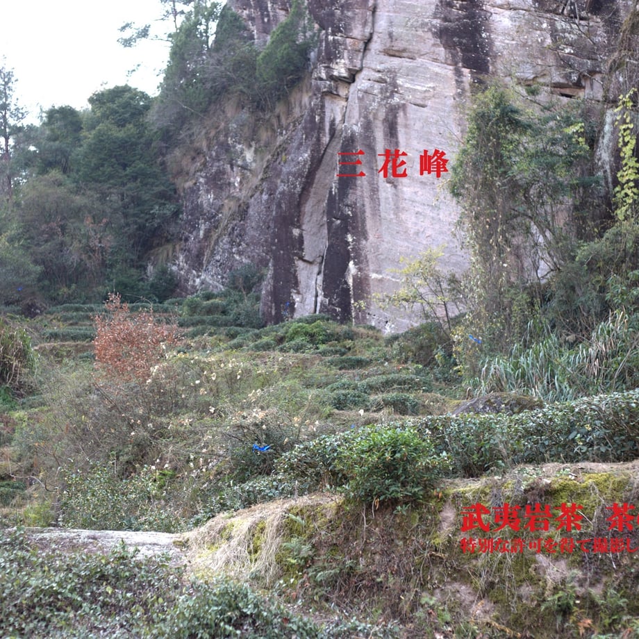 652e58503ef30601ec8c837c
