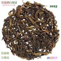 悟源澗白鶏冠 2023